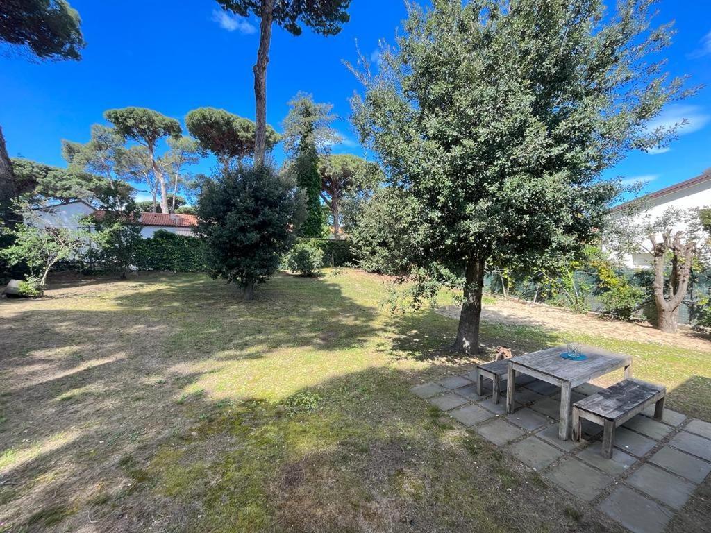 Pineta Apartament Tirrenia Exterior photo