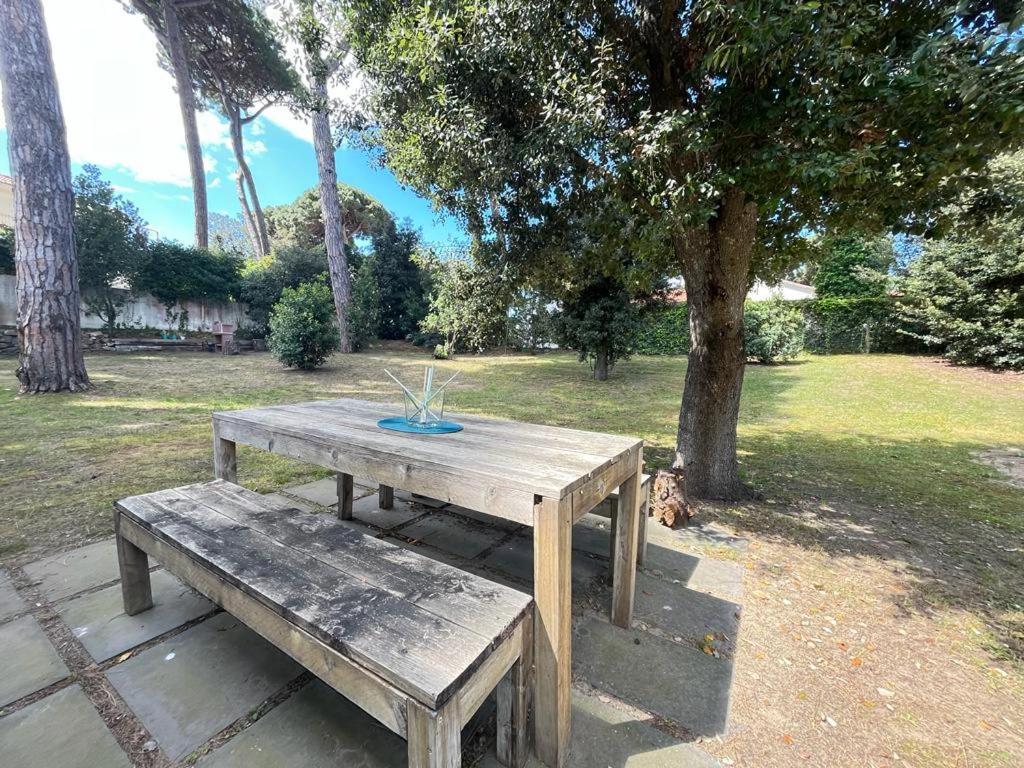 Pineta Apartament Tirrenia Exterior photo