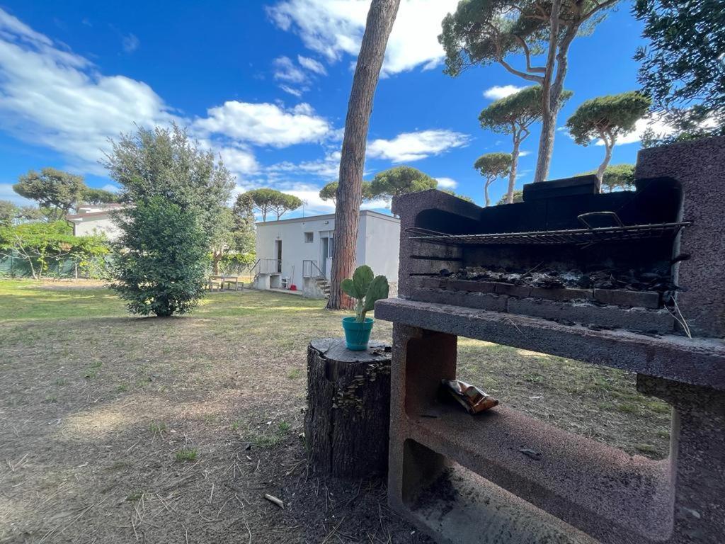 Pineta Apartament Tirrenia Exterior photo